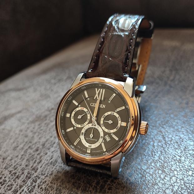 Citizen NB2004-18W Stainless steel Brown 2023 | Dealer | EveryWatch