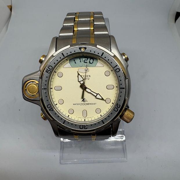 citizen37214629.jpg