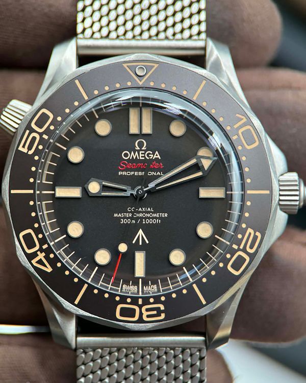 りりオーダーページ Omega Seamaster 166.009 Silver Silver Japan | Dealer | EveryWatch