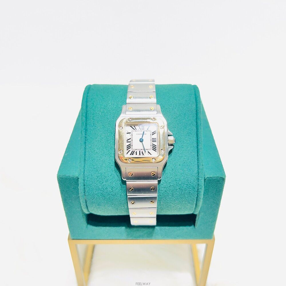 1958 スパンナ カステッロ ディ ロッツォーロ Cartier Santos de Cartier 155434610 Stainless steel White 2008